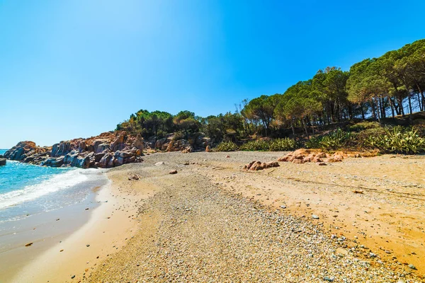 Santa Maria Navarrese shore çam ağaçlarıyla