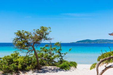 çam ağaçları maria pia Beach