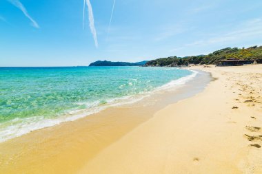 Golden shore in Cala Monte Turno