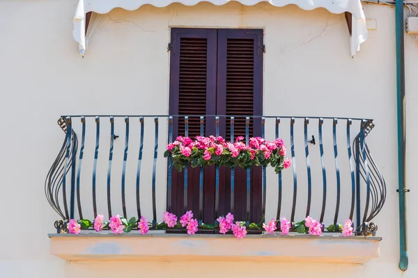 Bahar bir balkonda pembe çiçekler — Stok fotoğraf