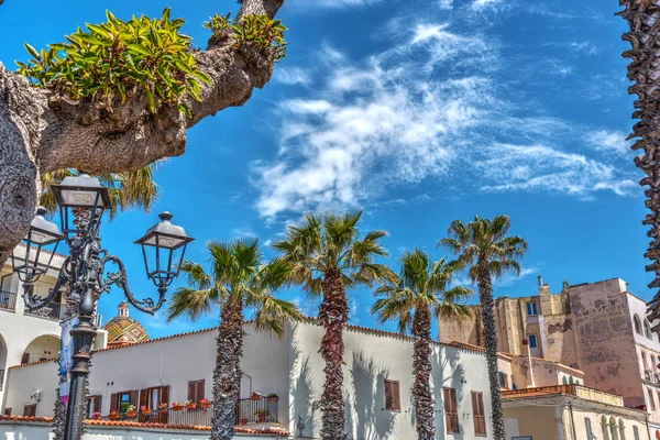 Palm trees in Alghero seafront — Stock Photo, Image