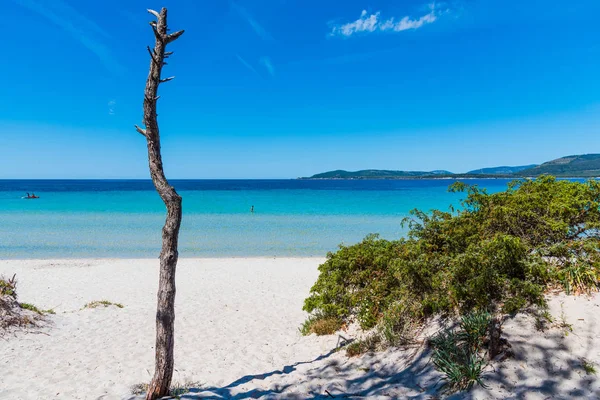 Alghero'da beyaz kum ve turkuaz su — Stok fotoğraf