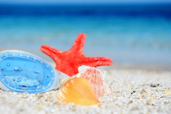 Пляжные очки, раковина и морская звезда — стоковое фото