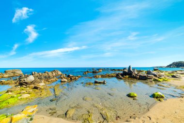 Orri plaj bahar açık bir gökyüzü altında