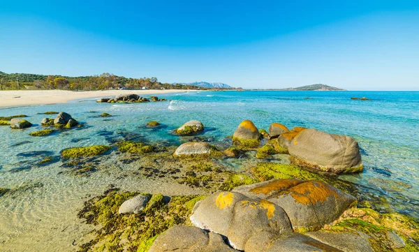 Playa de Orri bajo un cielo despejado en primavera — Foto de Stock