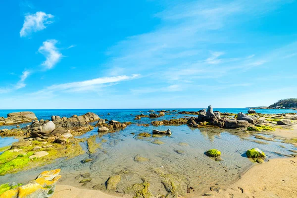 Orri plaj bahar açık bir gökyüzü altında