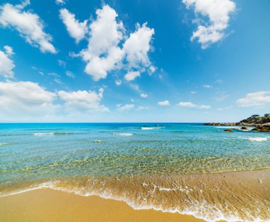 Orri plaj altın kıyı