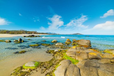 Turkuaz su Orri Beach