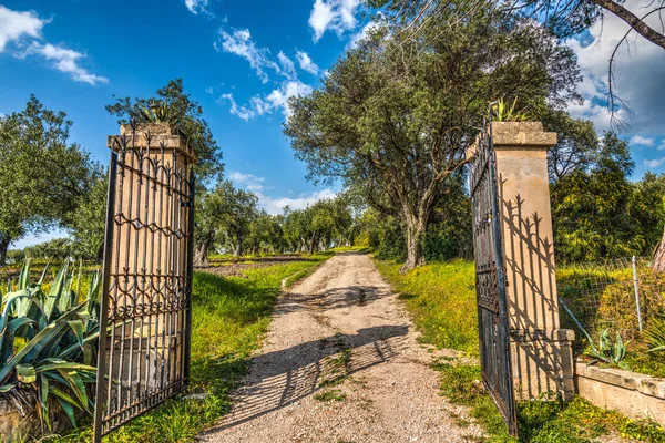 Portão aberto no campo — Fotografia de Stock