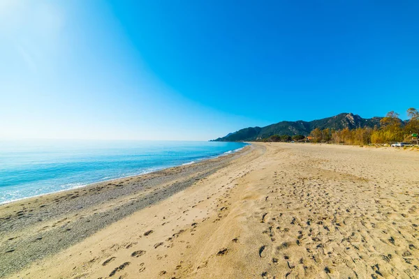 Golden shore na praia de Marina di Cardedu — Fotografia de Stock