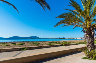 Alghero shore palmiye ağaçlarında