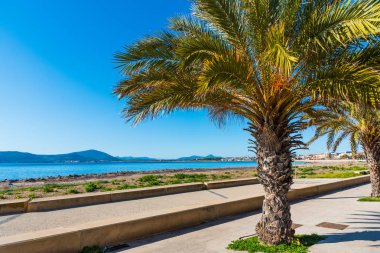 Avuç içi Alghero sahil