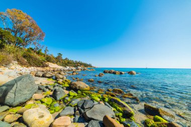 Porto Frailis güneşli bir günde
