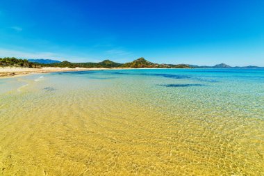 Güneşli bir günde di Peppino Scoglio plaj