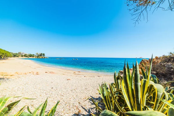 Santa Maria Navarrese shoreline in springtime — Stock Photo, Image