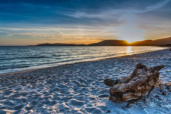 Gün batımında sahilde dalgaların karaya attığı odun — Stok fotoğraf