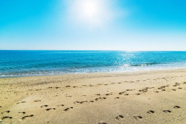 Güneş denizin üzerinde parlıyor