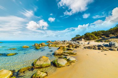 Kayalar ve kum Orri Beach