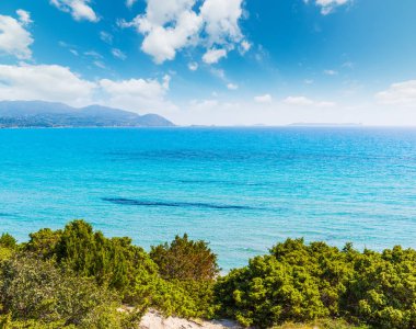 Bahar Porto Giunco Sahili