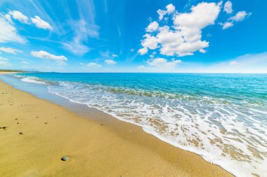Altın sahil Perdepera Beach