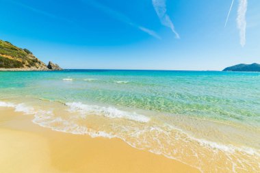 Golden shore in Cala Monte Turno