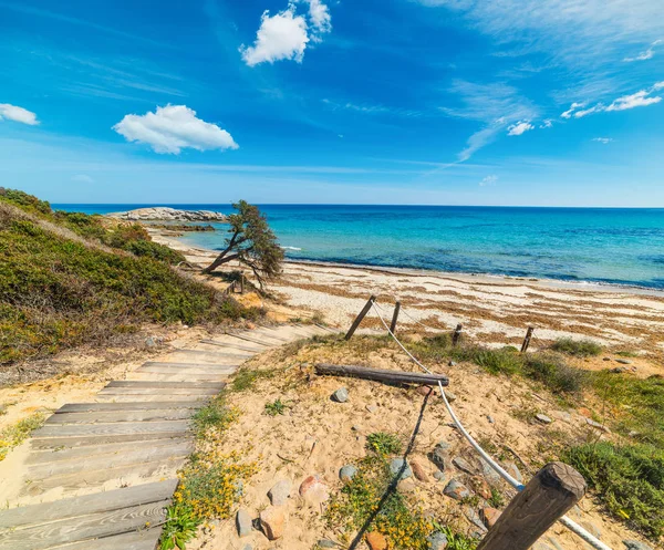 walk path in Scoglio di Peppino shore