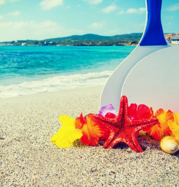 Yıldız balık ve plaj raketleri kum üzerinde