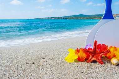 Yıldız balık ve plaj raketleri kum üzerinde