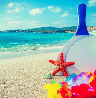 Beack raketleri ve kum deniz yıldızı