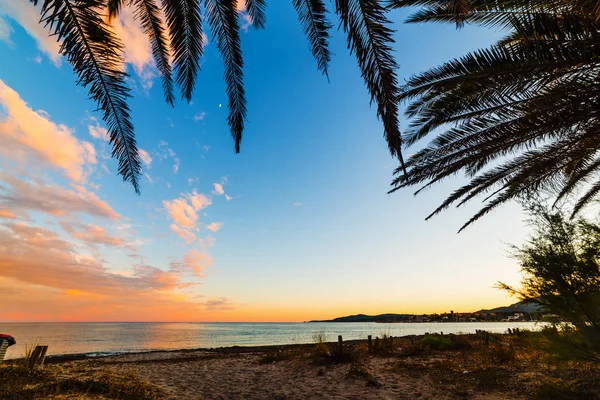 Пальмовими гілками на березі в регіоні Сардинія — стокове фото