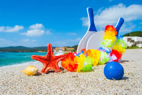 Yıldız balık ve plaj raketleri 