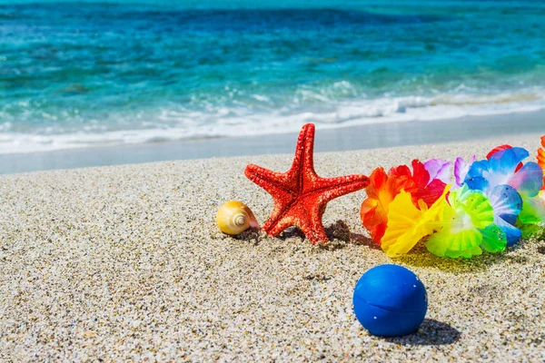 Deniz yıldızı ve yaz nesne kum üzerinde — Stok fotoğraf