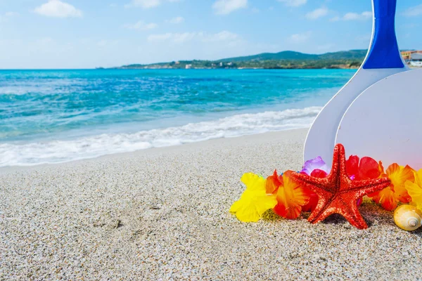 Yıldız balık ve plaj raketleri kum üzerinde