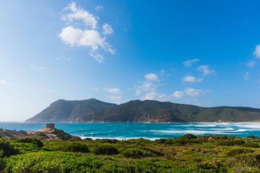 Porto Ferro deniz yeşil bitkiler