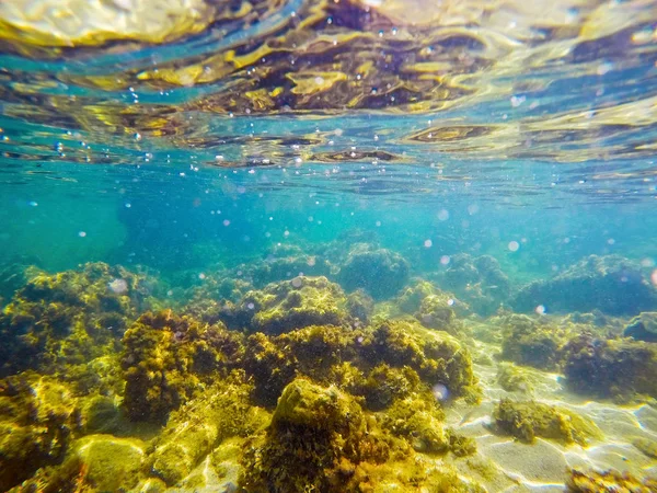 Piso rochoso do mar em Alghero — Fotografia de Stock