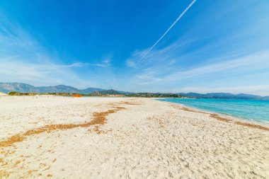 Porto Giunco shore-beyaz kum