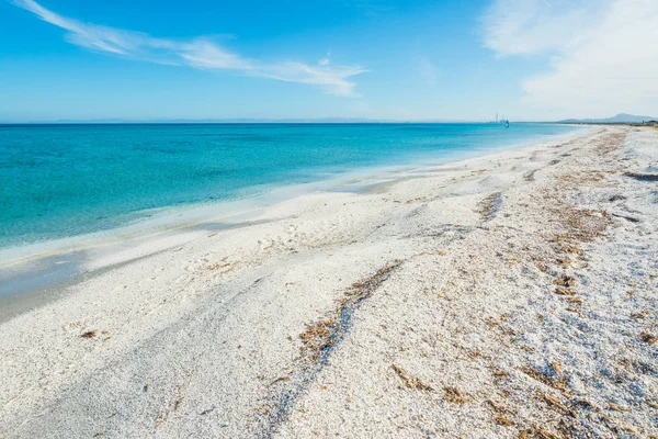 Mer bleue sur le littoral de Stintino — Photo