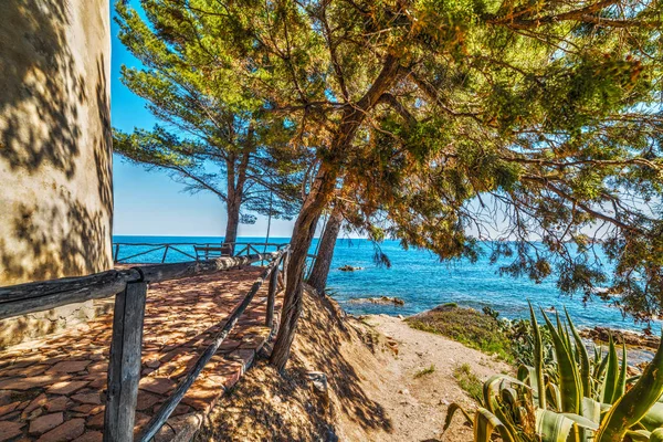 Santa Maria Navarrese denizde çam ağaçlarıyla