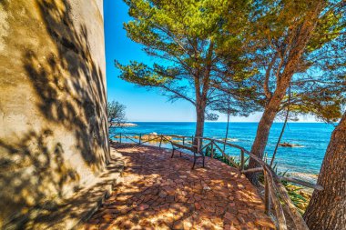 Santa Maria Navarrese denizde çam ağaçlarıyla