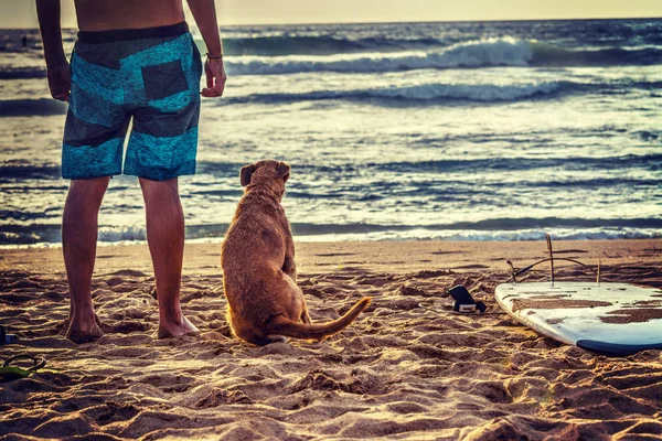Surfista y perro por la orilla —  Fotos de Stock