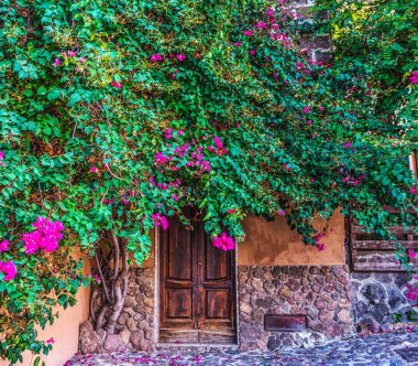 Bitkiler tarafından çevrili rusic kapı