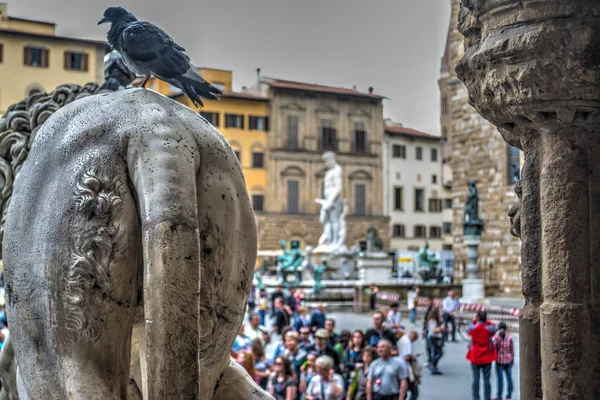 Estatua de león en Piazza della Signoria vista desde atrás —  Fotos de Stock