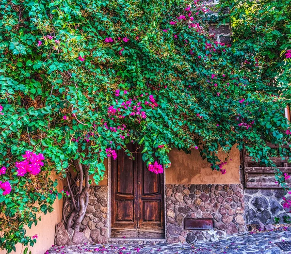 Bitkiler tarafından çevrili rusic kapı