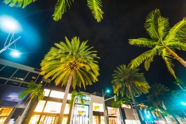 Rodeo Drive palmiye ağaçlarında geceleri