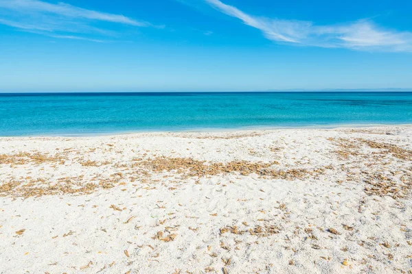 Stintino renkli sahil — Stok fotoğraf