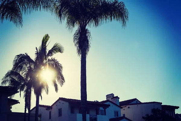 Siluetas de palma en San Diego al atardecer —  Fotos de Stock