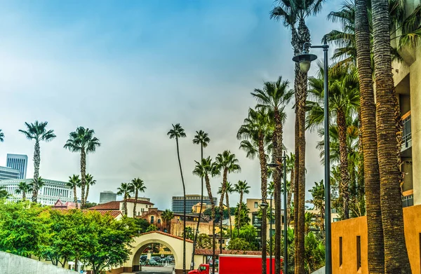 Los Angeles Union İstasyonu palmiye ağaçlarında — Stok fotoğraf
