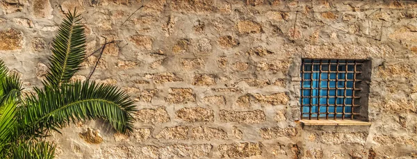 Liten Palm och rustik vägg i Sardinien — Stockfoto