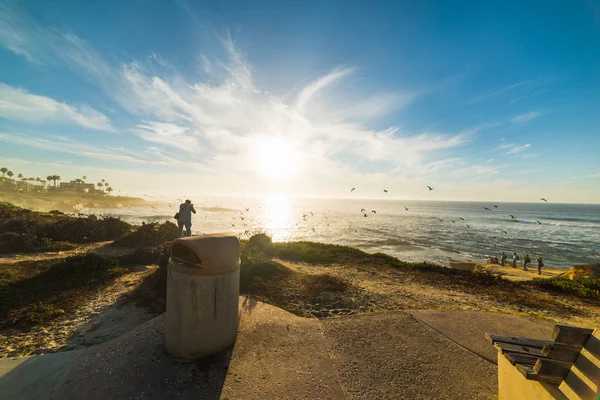 Homem fotografando um bando de gaivotas — Fotografia de Stock