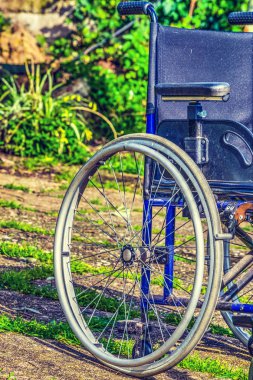 Tekerlekli sandalyede bir yeşil park